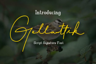 Bring Charm to Your Creations with Gellattik Font