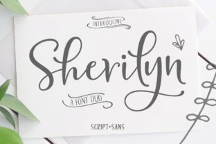 Enhance Your Campaigns with Sherilyn Duo Font