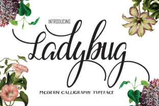 Ladybug: A Charming Script Font for Crafters and Creators