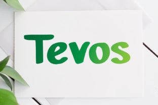 Tevos: A Modern Handwritten Font for Web Design