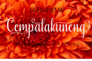 Transform Your Brand with Cempalakuneng: A Modern Calligraphy Font