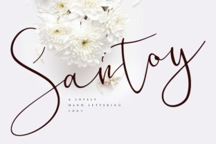 Transform Your Brand with Santoy: A Bold and Elegant Font